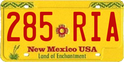 NM license plate 285RIA
