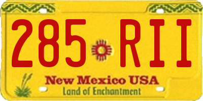 NM license plate 285RII