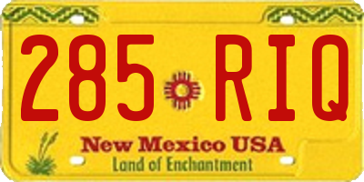 NM license plate 285RIQ