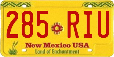 NM license plate 285RIU