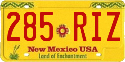 NM license plate 285RIZ