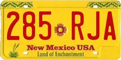 NM license plate 285RJA
