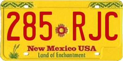 NM license plate 285RJC