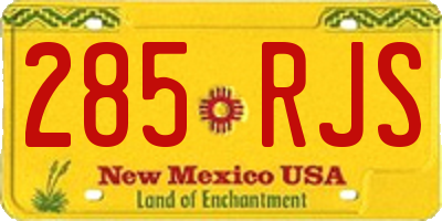 NM license plate 285RJS