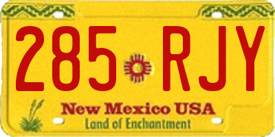 NM license plate 285RJY