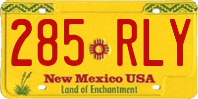 NM license plate 285RLY