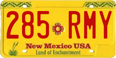 NM license plate 285RMY