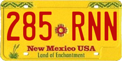 NM license plate 285RNN