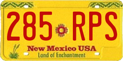 NM license plate 285RPS