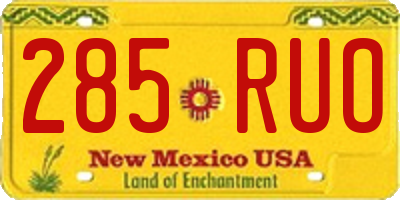NM license plate 285RUO