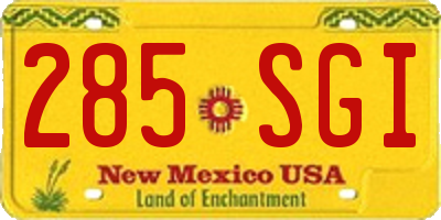 NM license plate 285SGI