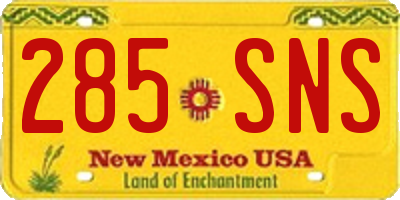 NM license plate 285SNS