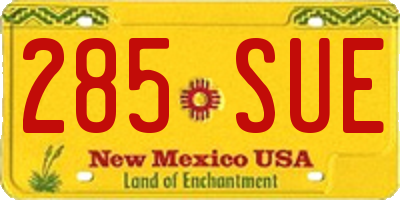 NM license plate 285SUE