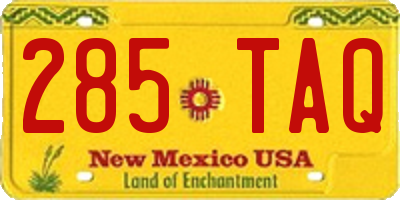 NM license plate 285TAQ