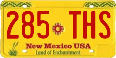 NM license plate 285THS