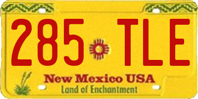 NM license plate 285TLE