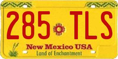 NM license plate 285TLS
