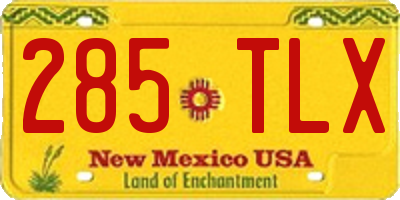 NM license plate 285TLX