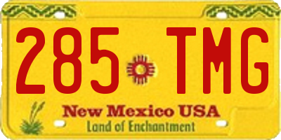 NM license plate 285TMG
