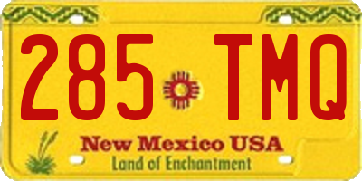 NM license plate 285TMQ