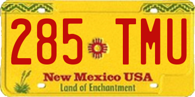 NM license plate 285TMU