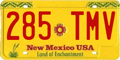 NM license plate 285TMV