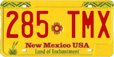 NM license plate 285TMX