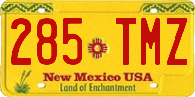 NM license plate 285TMZ