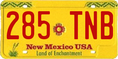 NM license plate 285TNB