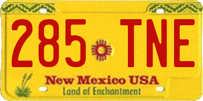 NM license plate 285TNE