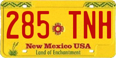 NM license plate 285TNH