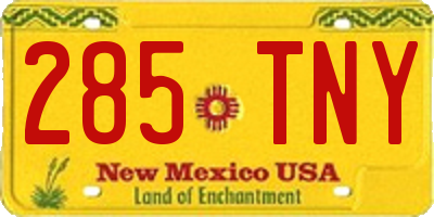 NM license plate 285TNY