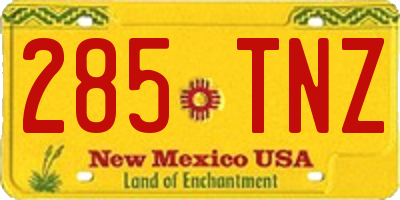 NM license plate 285TNZ
