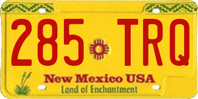 NM license plate 285TRQ