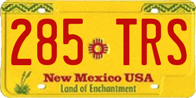 NM license plate 285TRS
