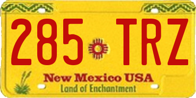NM license plate 285TRZ