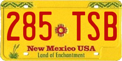 NM license plate 285TSB
