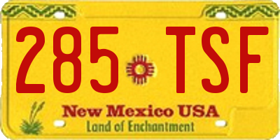 NM license plate 285TSF