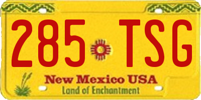 NM license plate 285TSG