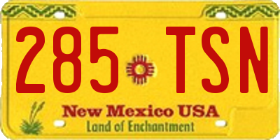 NM license plate 285TSN