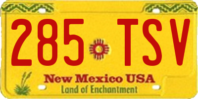 NM license plate 285TSV