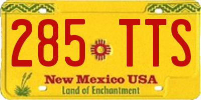 NM license plate 285TTS