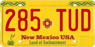 NM license plate 285TUD