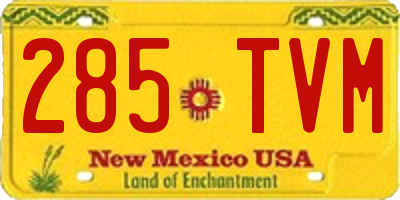 NM license plate 285TVM