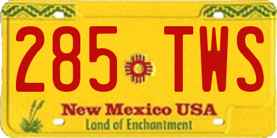 NM license plate 285TWS