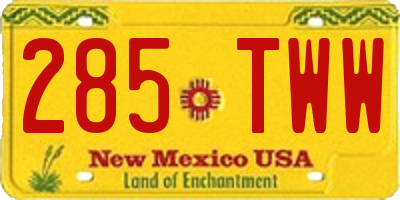 NM license plate 285TWW