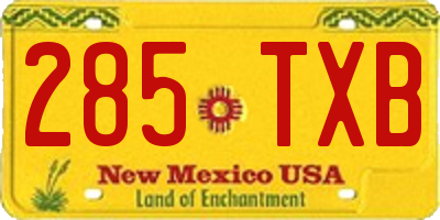 NM license plate 285TXB