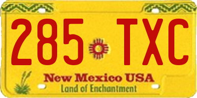 NM license plate 285TXC