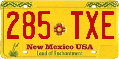 NM license plate 285TXE