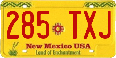 NM license plate 285TXJ